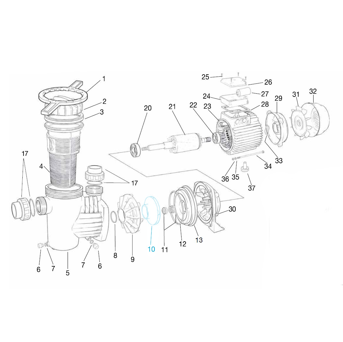 Pumpenlaufrad für Ocean® Filterpumpe O50 Pumpenlaufrad für Ocean® Filterpumpe O50