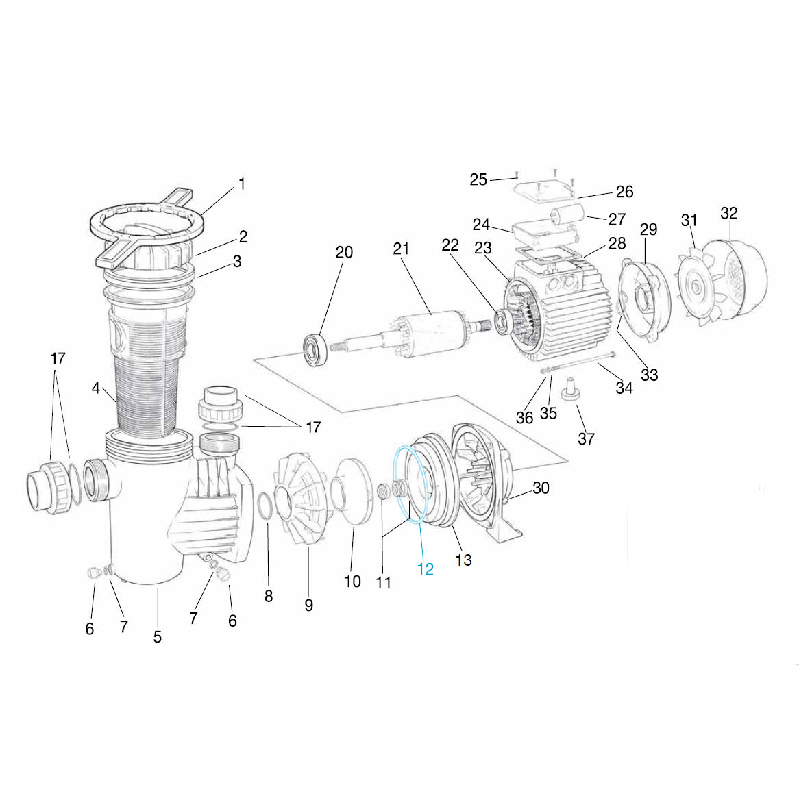 Pumpenkörperdichtung für alle Ocean® Filterpumpen Pumpenkörperdichtung für alle Ocean® Filterpumpen