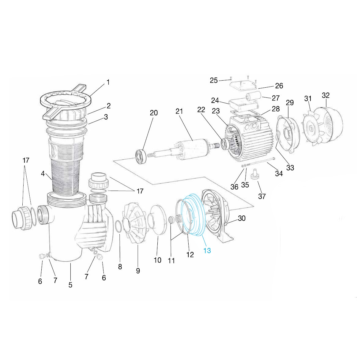 Pumpenkörperdeckel für alle Ocean® Filterpumpen Pumpenkörperdeckel für alle Ocean® Filterpumpen