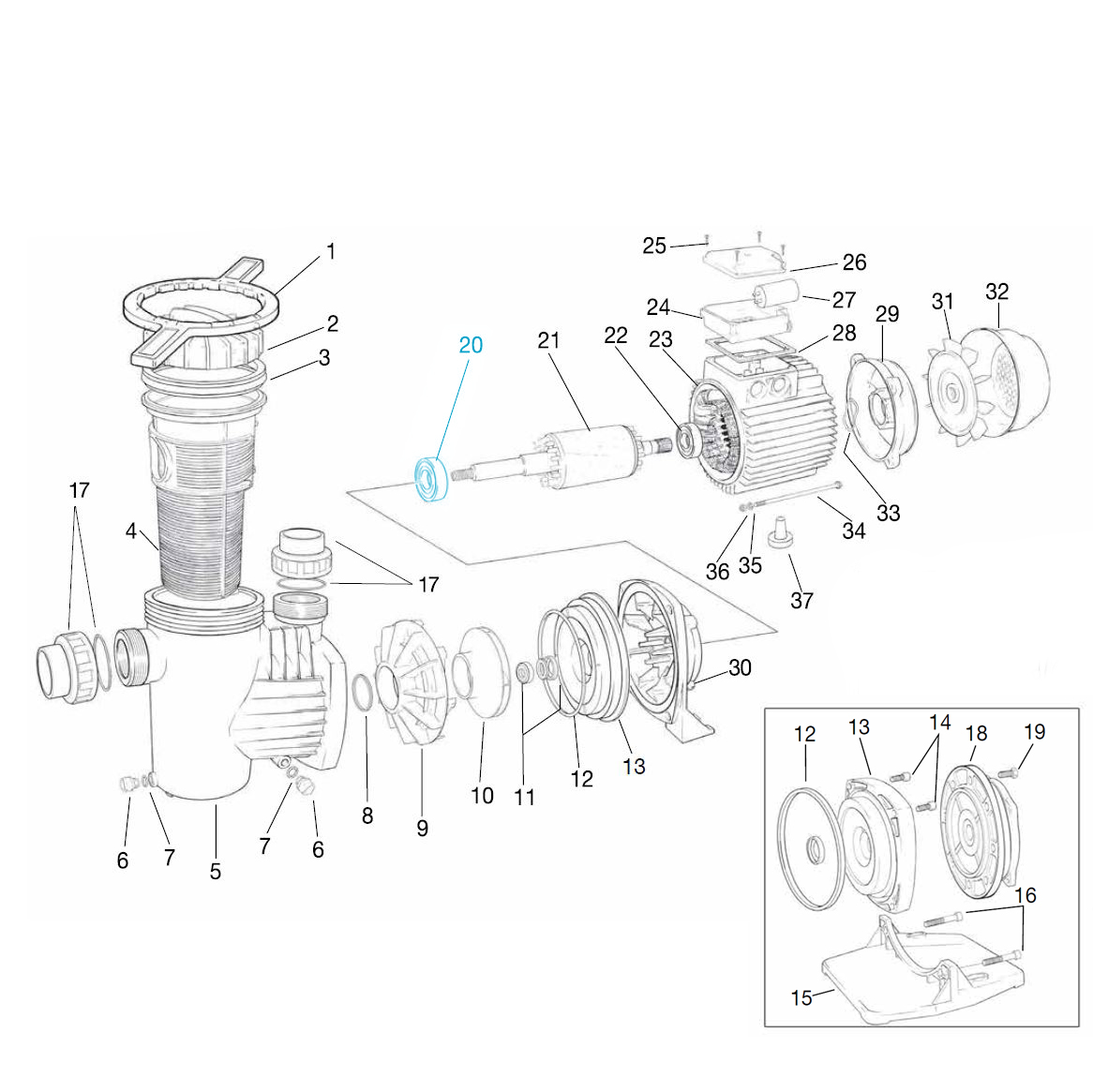 Vorderes Kugellager für Ocean® Filterpumpe O50-100 + Serie W 50-100 Vorderes Kugellager für Ocean® Filterpumpe O50-100 + Serie W 50-100