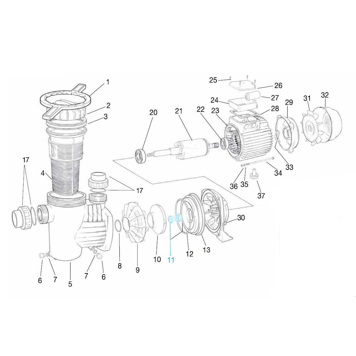 Gleitringdichtung für alle Ocean® Filterpumpen Gleitringdichtung für alle Ocean® Filterpumpen