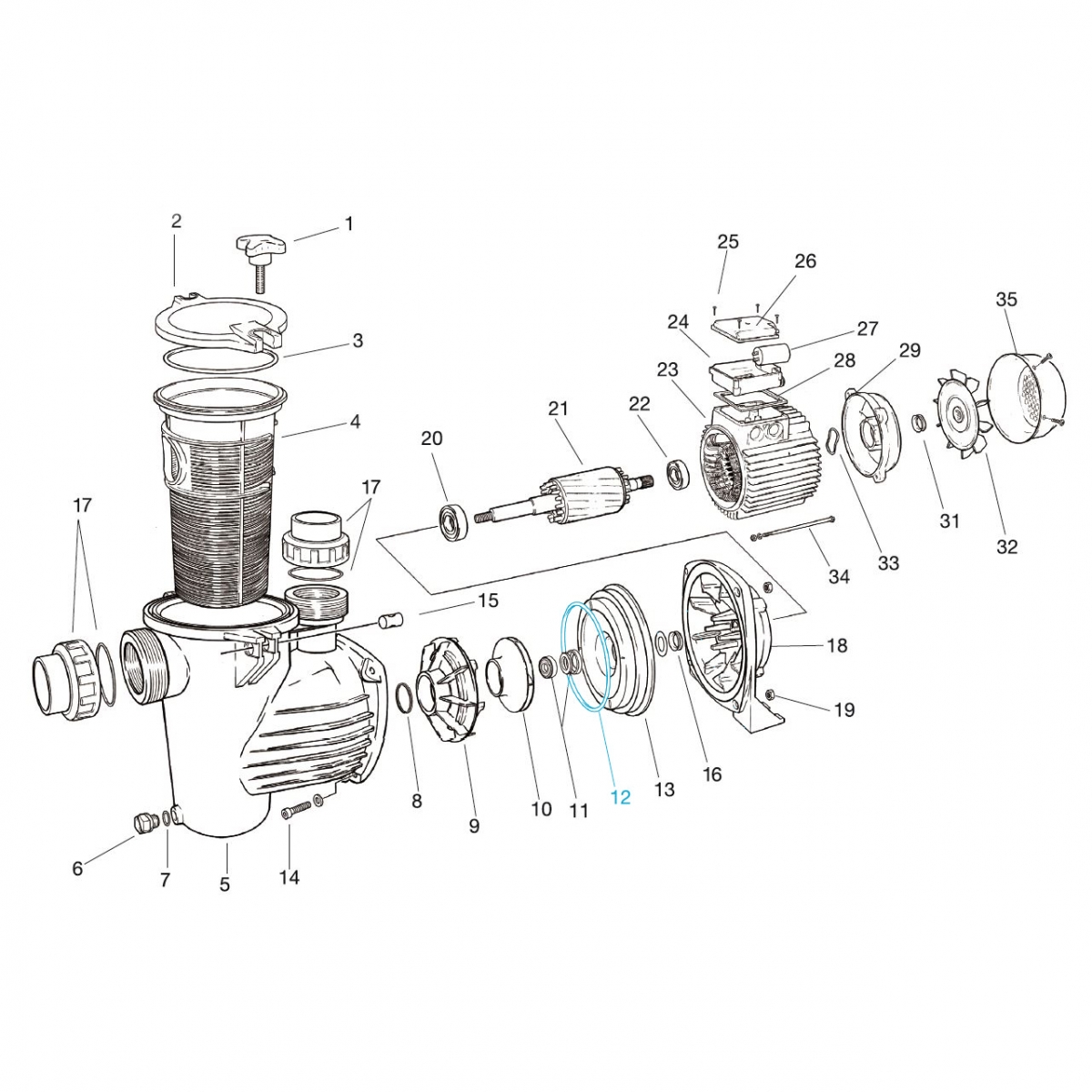 Pumpenkörperdichtung für Smart Filterpumpe M50+M75 Pumpenkörperdichtung für Smart Filterpumpe M50+M75