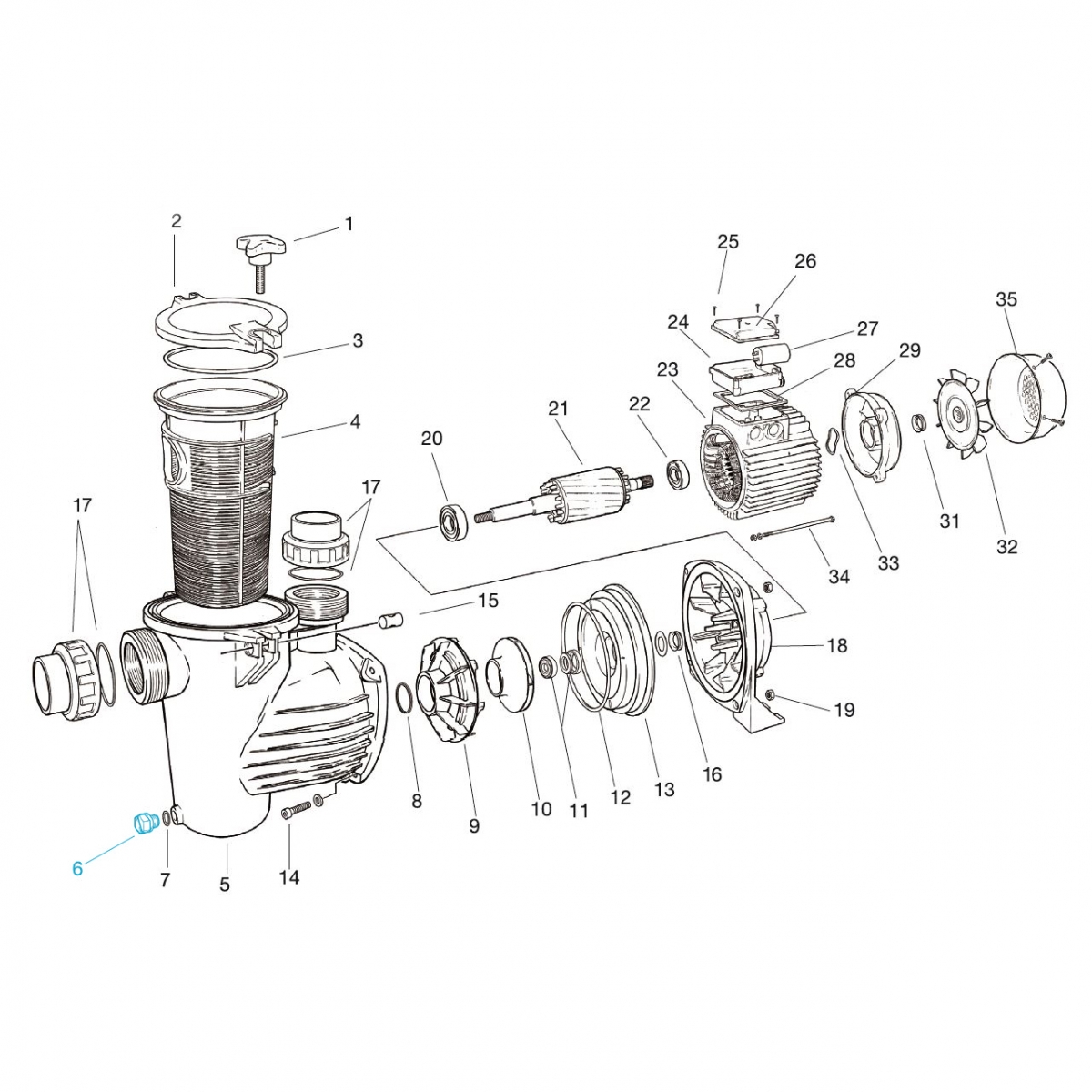 Entleerungsschraube inkl. Dichtung für alle Ocean® Filterpumpen Entleerungsschraube inkl. Dichtung für alle Ocean® Filterpumpen