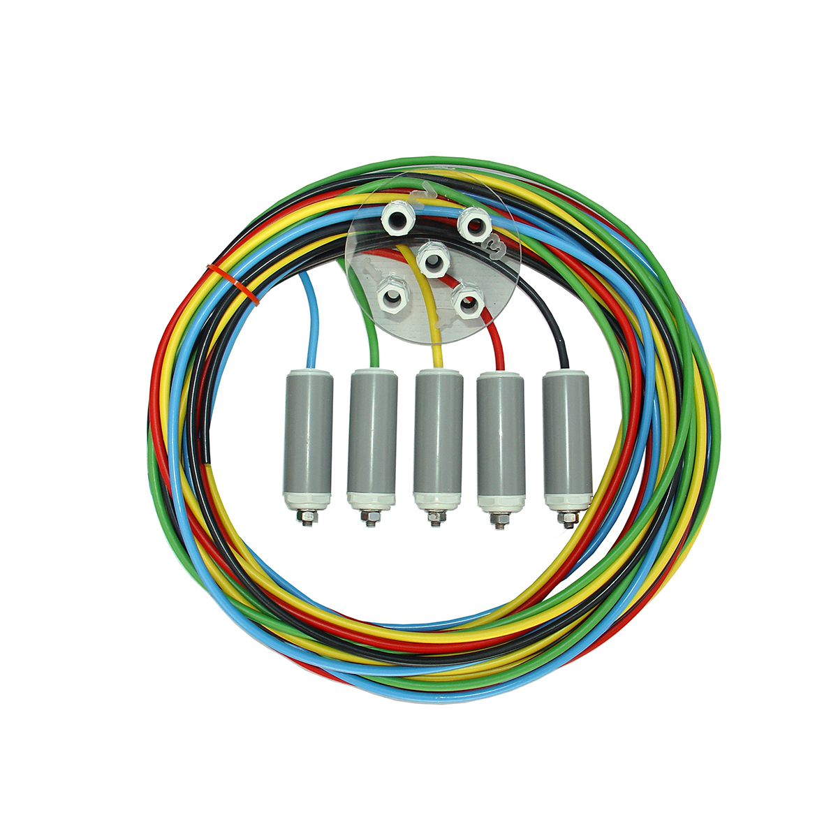 Sondenset für iQntrol-N2 mit 5 Hängeelektroden je 5m aus V4A und Spezialkabeln (farbig, ozonbeständig) Sondenset für iQntrol-N2 mit 5 Hängeelektroden je 5m aus V4A und Spezialkabeln (farbig, ozonbeständig)