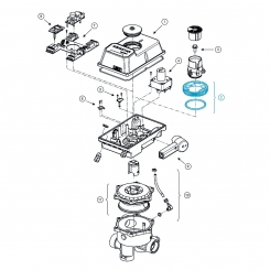 Kurvenzahnrad eingefettet mit 43 Stahlkugeln Kurvenzahnrad eingefettet mit 43 Stahlkugeln