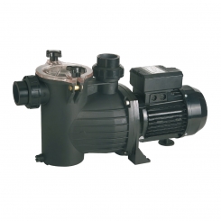 Smart Poolpumpe M75, 0,55 kW, 10 m³/h, 230 V, selbstansaugend, großer Vorfilter, IP55 Smart Poolpumpe M75, 0,55 kW, 10 m³/h, 230 V, selbstansaugend, großer Vorfilter, IP55