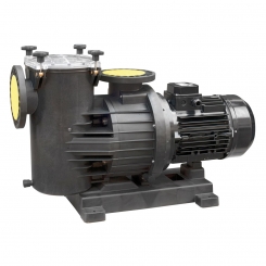 Smart Poolpumpe Power P300, 2,2 kW, 43 m³/h, 230-400 V, 1450 U/min, IE3 Motor, selbstansaugend, großer Vorfilter, DN110 Flansch-Anschluss, IP55 Smart Poolpumpe Power P300, 2,2 kW, 43 m³/h, 230-400 V, 1450 U/min, IE3 Motor, selbstansaugend, großer Vorfilter, DN110 Flansch-Anschluss, IP55